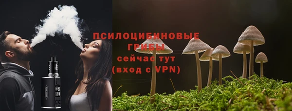 a pvp Богородицк