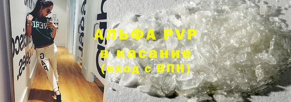 мяу мяу кристалл Богданович