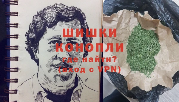 ГАЛЛЮЦИНОГЕННЫЕ ГРИБЫ Беломорск